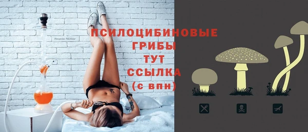 Альфа ПВП Аркадак