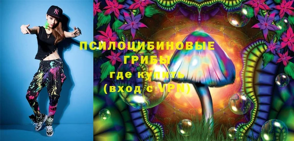 МДПВ Алексеевка