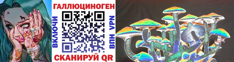 Галлюциногенные грибы Psilocybe  мега как зайти  Тайшет 
